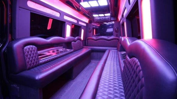 evansville sprinter limo rental inside